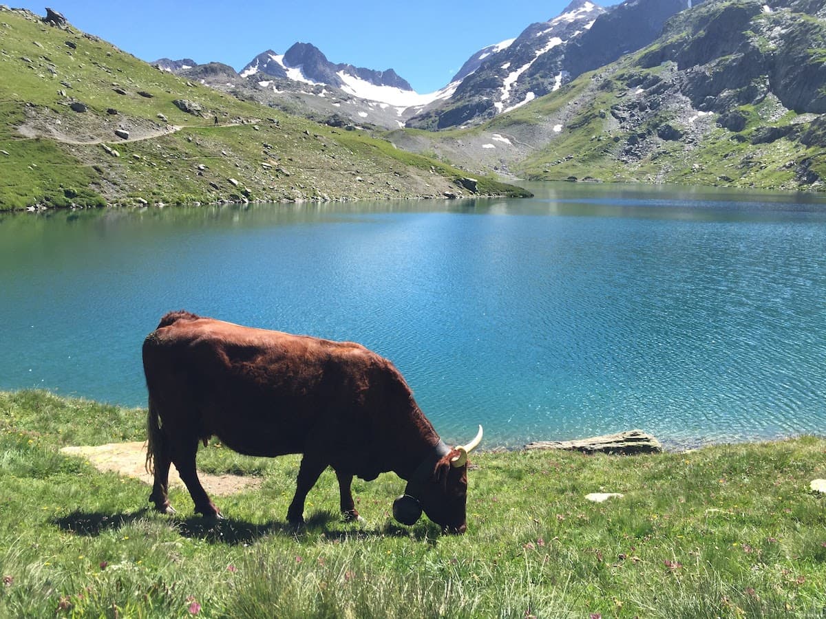 Chalet Le Karibou — Galeriefoto 74
